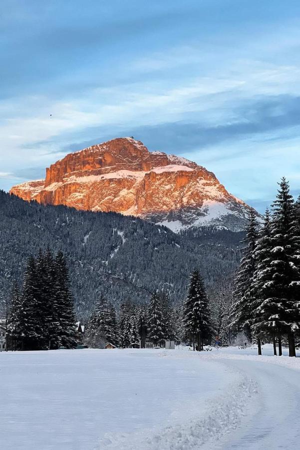 Cesa Pier Sellaronda Dolomiti Διαμέρισμα Campitello di Fassa Εξωτερικό φωτογραφία
